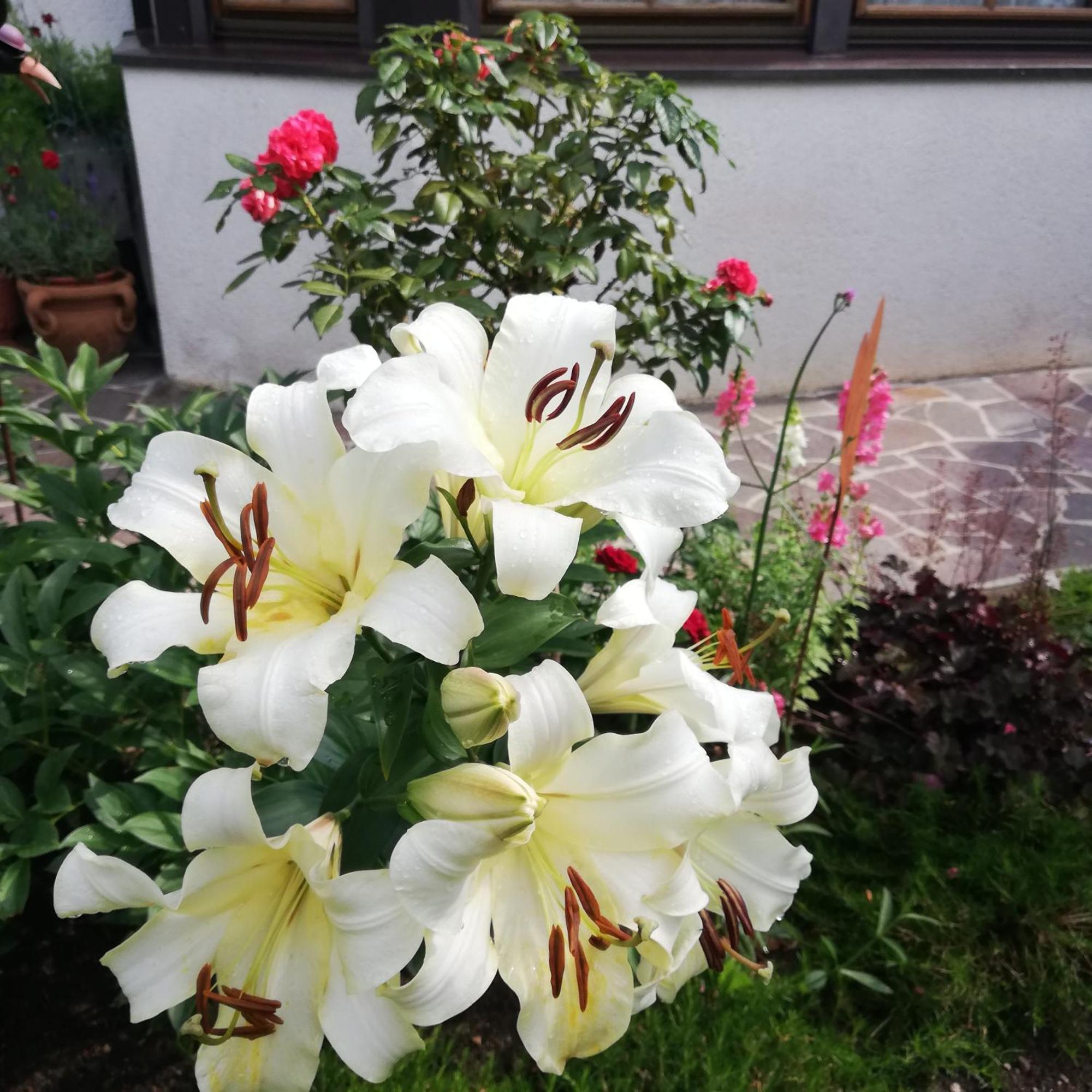 Haus Sonnengarten-เลียนซ์ ภายนอก รูปภาพ